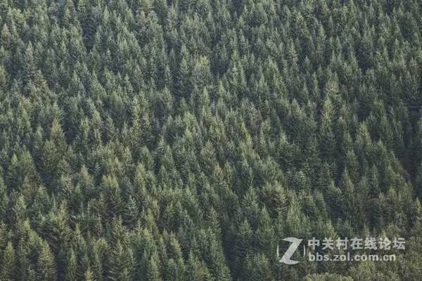 摄影师的层级划分，你处于什么水平？