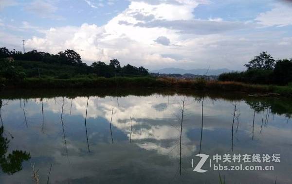 摄影师的层级划分，你处于什么水平？