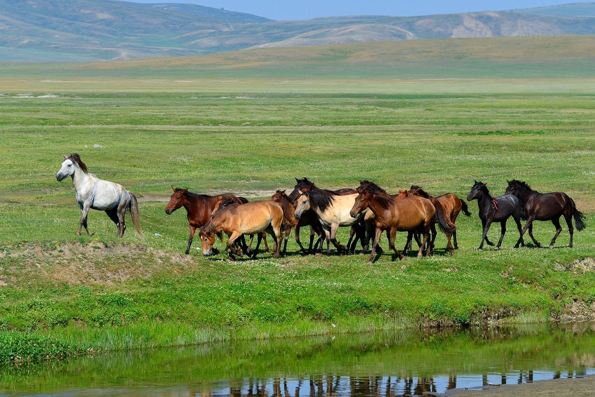 去禾木的途中（完）
