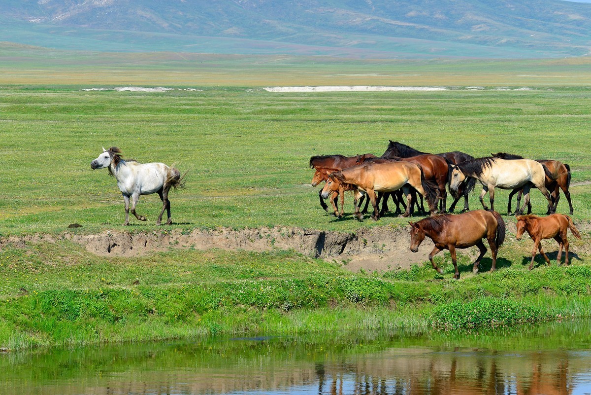 去禾木的途中（完）
