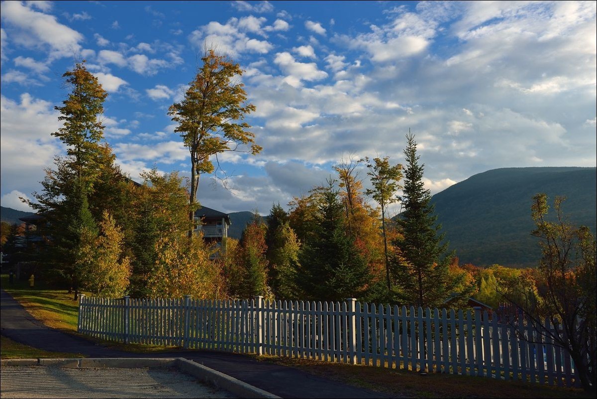 休闲随拍（375）