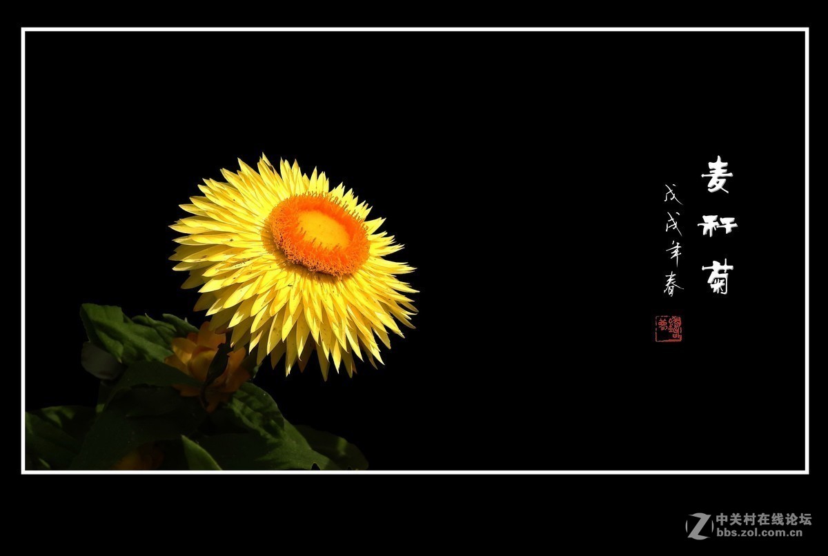 #版主坐堂#小五星空(中国)2018年七月精品荟萃