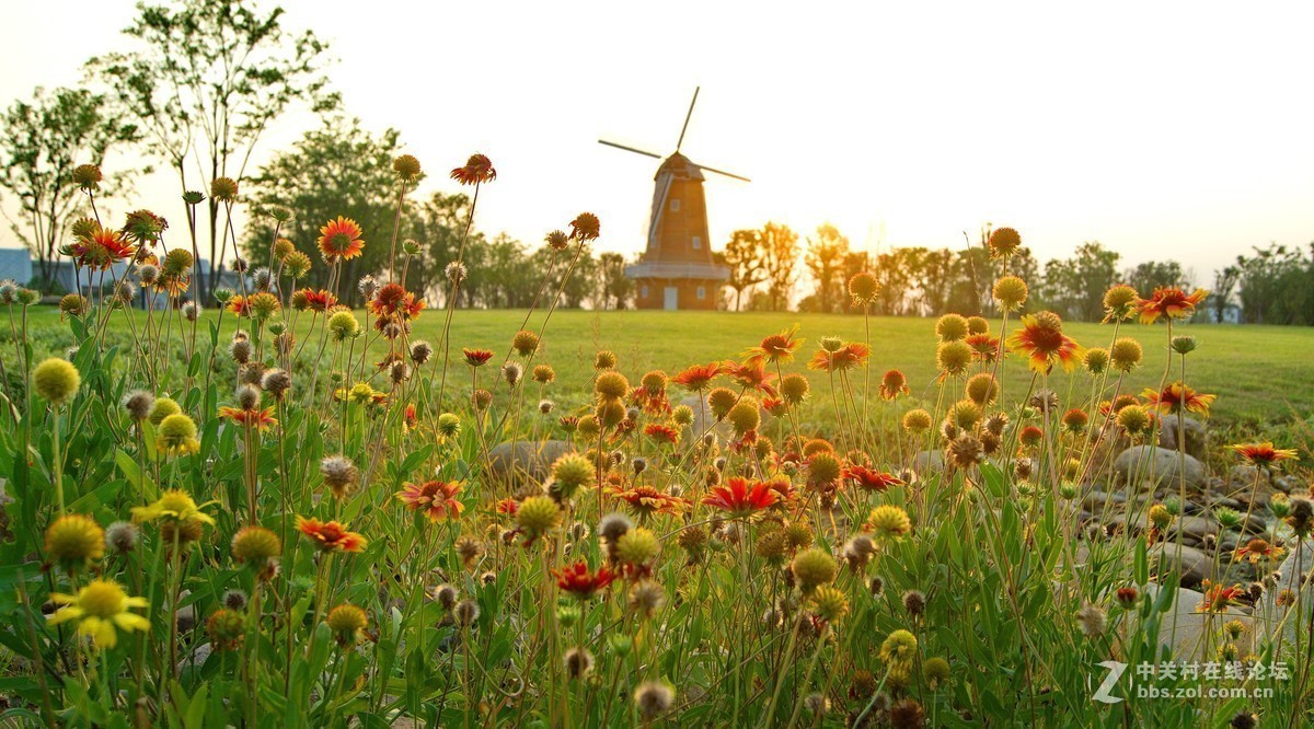 #版主坐堂#小五星空(中国)2018年七月精品荟萃
