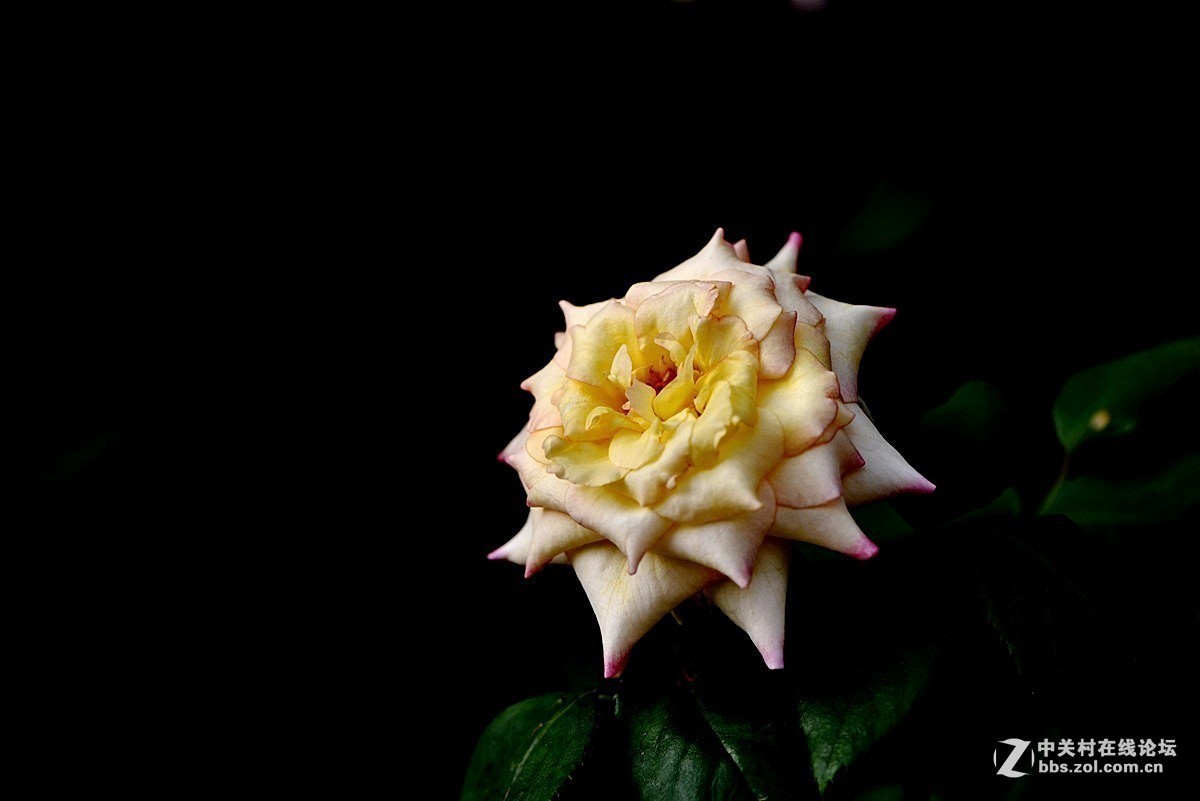 #版主坐堂#小五星空(中国)2018年七月精品荟萃