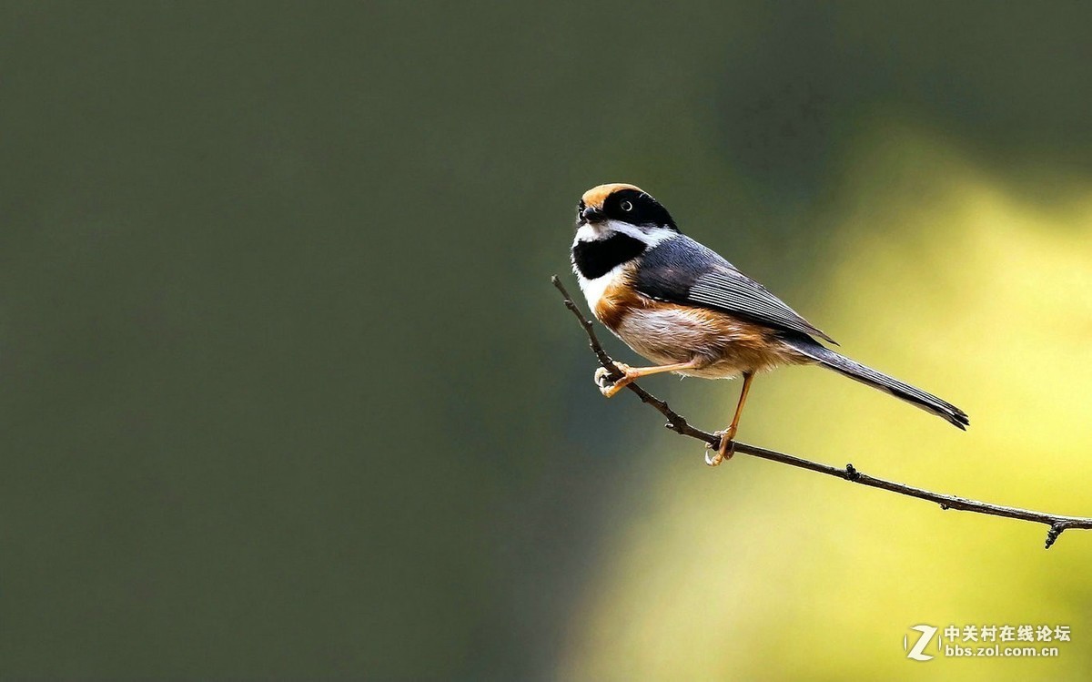 #版主坐堂#小五星空(中国)2018年七月精品荟萃