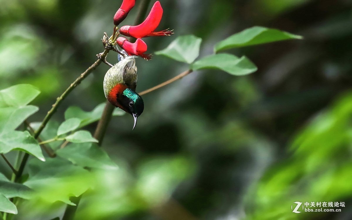 #版主坐堂#小五星空(中国)2018年七月精品荟萃