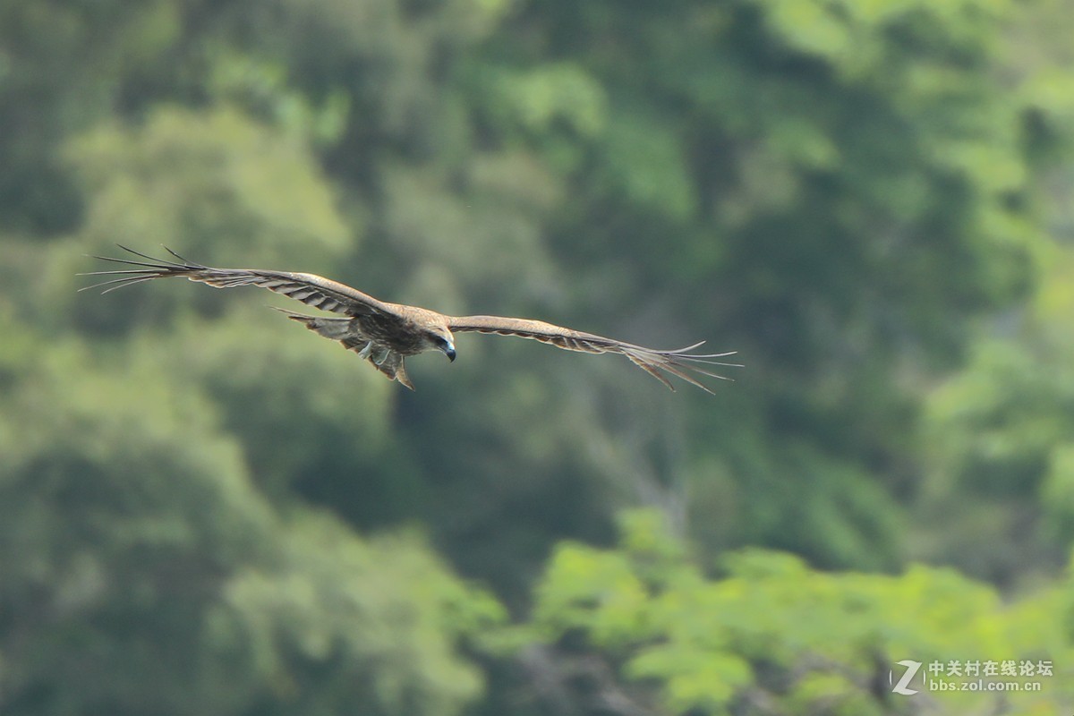 #版主坐堂#小五星空(中国)2018年七月精品荟萃