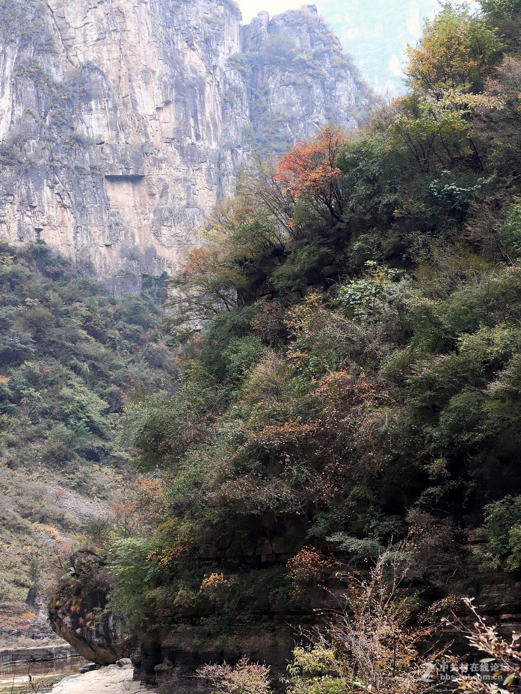 游山西陵川大峡谷5……