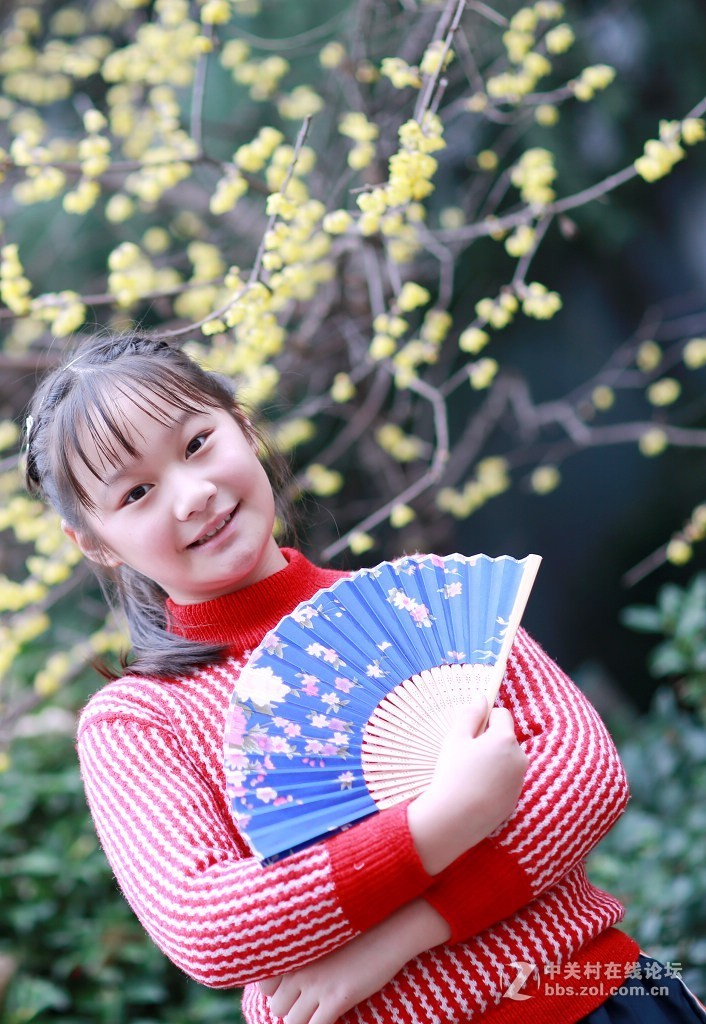 腊梅花下的小女孩