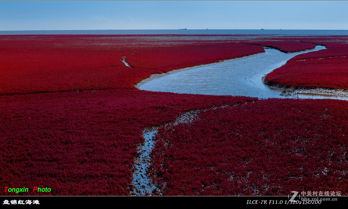#版主坐堂# 小五星空(中国)十月精品荟萃