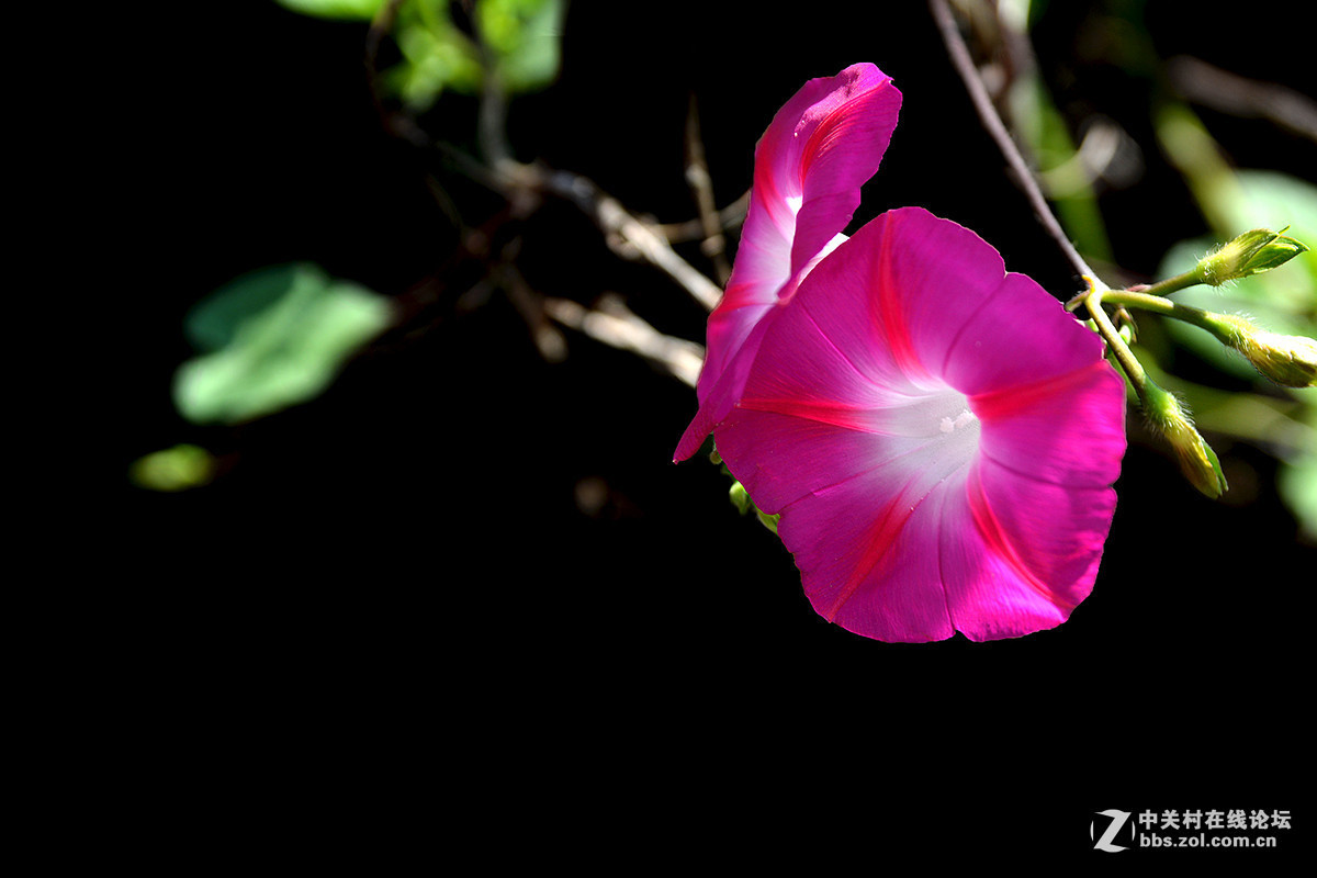 #版主坐堂# 小五星空(中国)十月精品荟萃