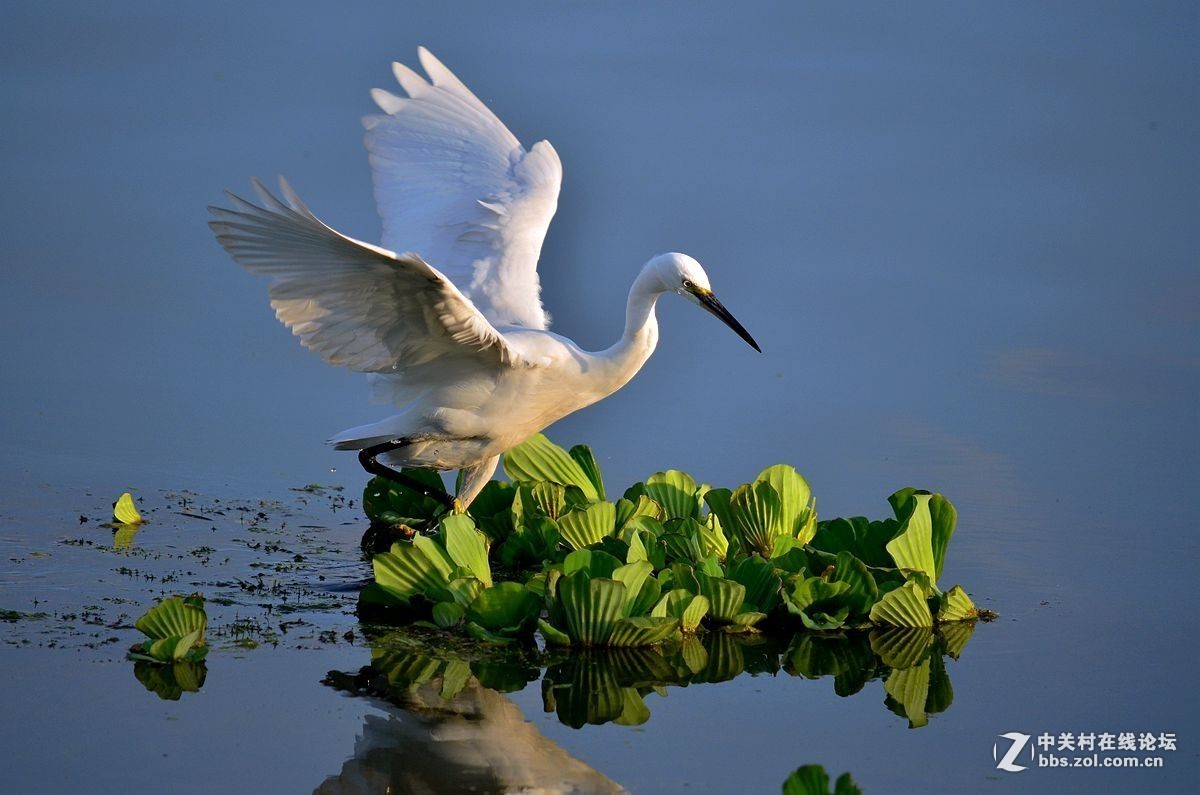 #版主坐堂# 小五星空(中国)十月精品荟萃