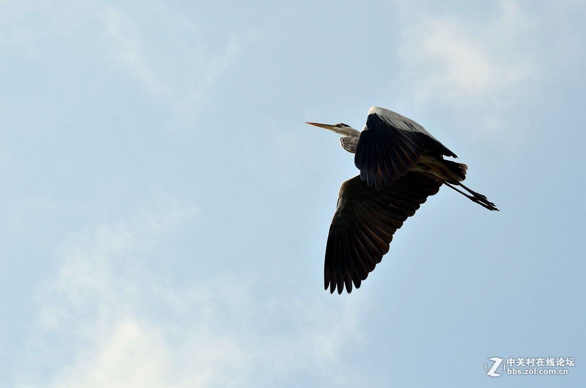 #版主坐堂# 小五星空(中国)十月精品荟萃