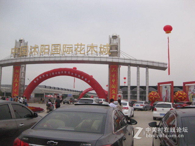 #ZOL国庆随手拍#国际花木城东大门