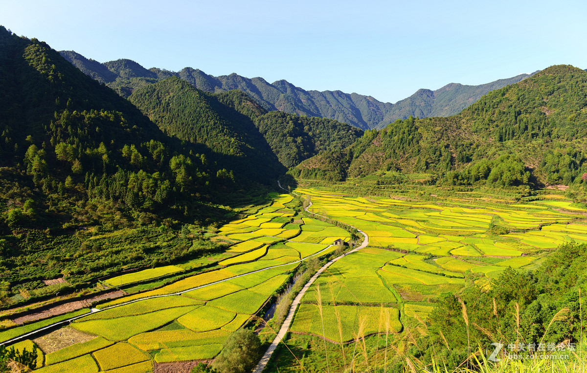 初秋的婺源，新手上片请各位老师多多指导