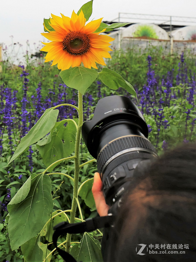 中山学校摄影班同学松冮活动