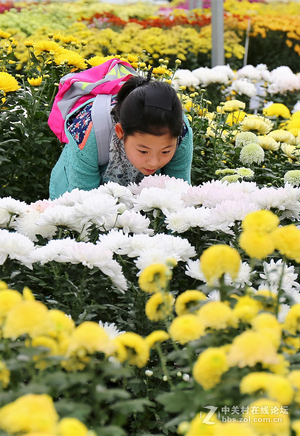 中山学校摄影班同学松冮活动