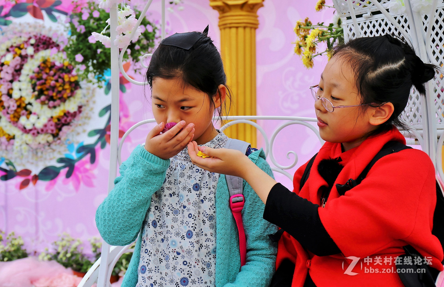 中山学校摄影班同学松冮活动