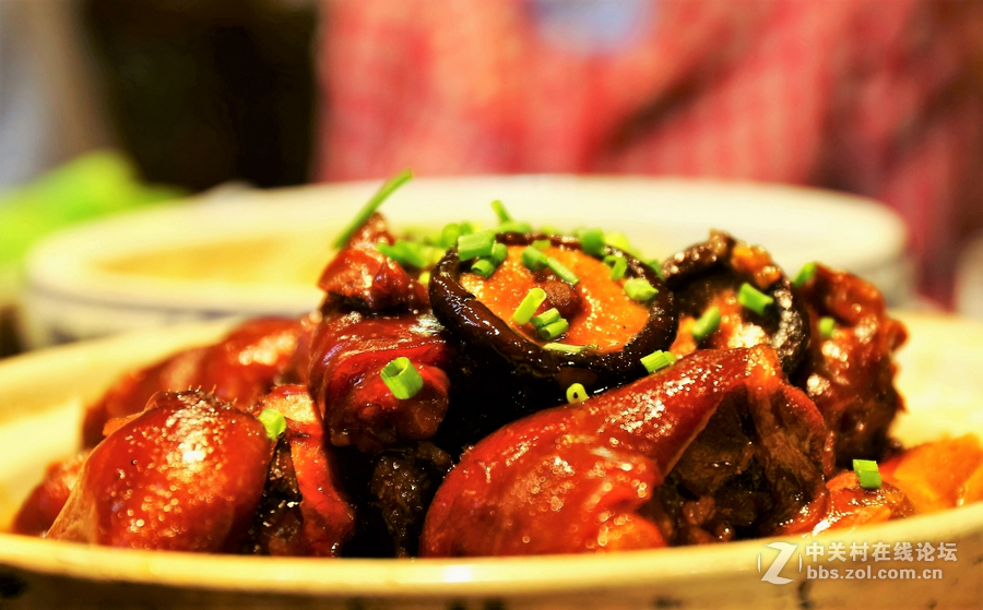 中山学校摄影班同学松冮活动