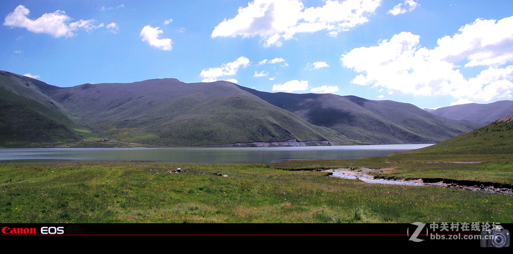 若尔盖草原之夏