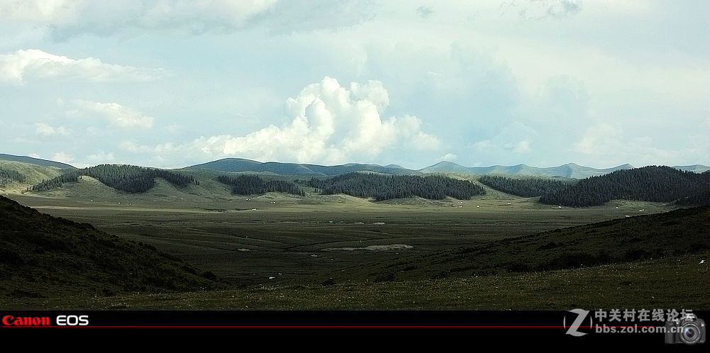 若尔盖草原之夏