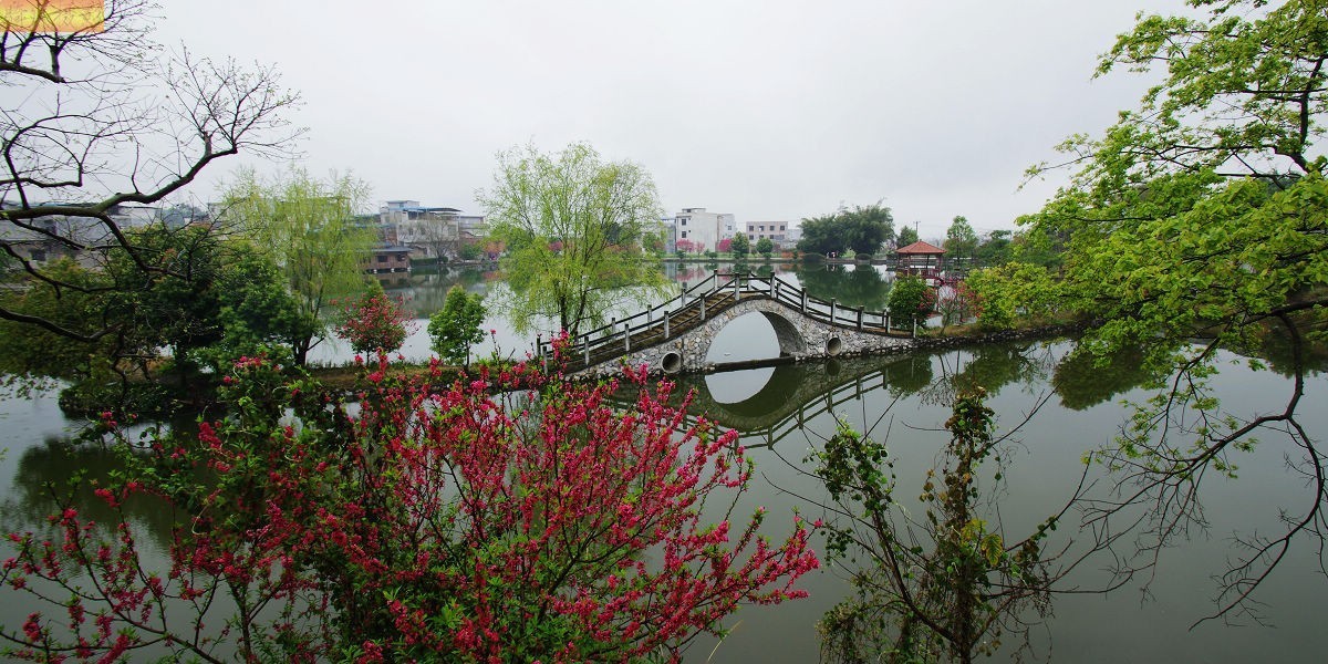 早春二月，烟雨乡村