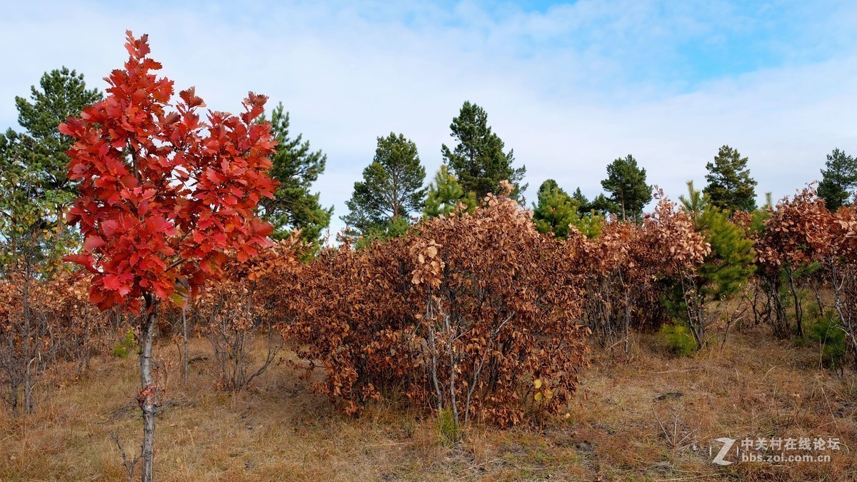 #版主坐堂#2018年10月份《承德》优秀作品选辑