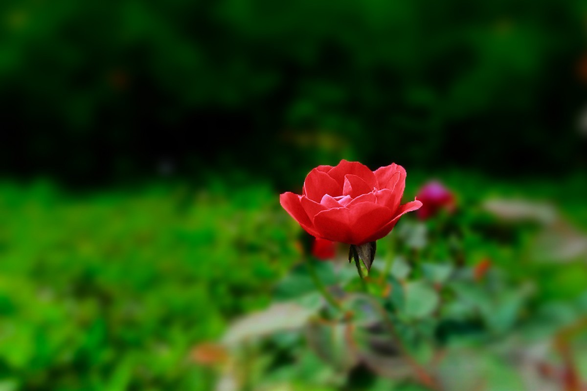 #版主坐堂#2018年10月份《承德》优秀作品选辑