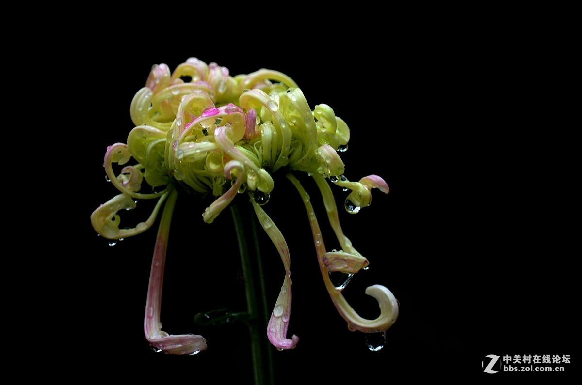 #版主坐堂# 小五星空(中国)十月精品荟萃