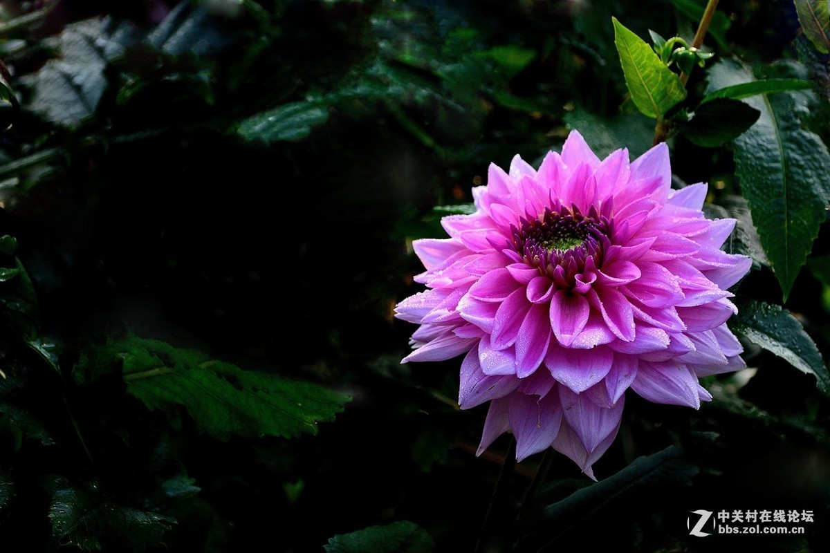 #版主坐堂# 小五星空(中国)十月精品荟萃