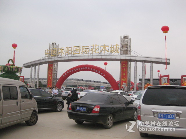 #ZOL国庆随手拍#国际花木城东大门