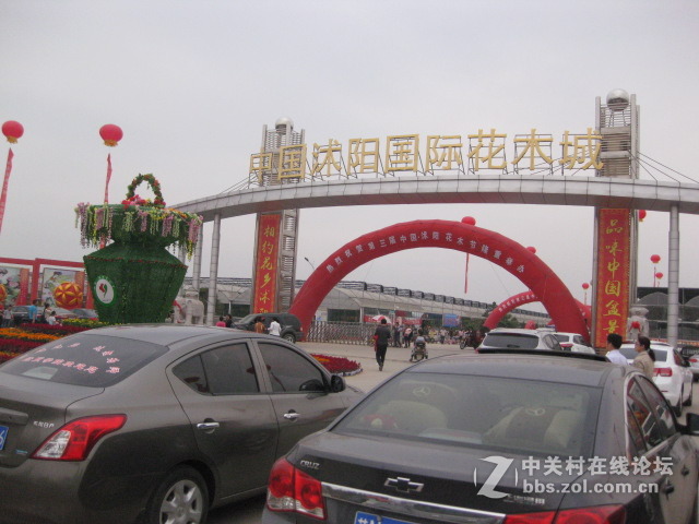 #ZOL国庆随手拍#国际花木城东大门