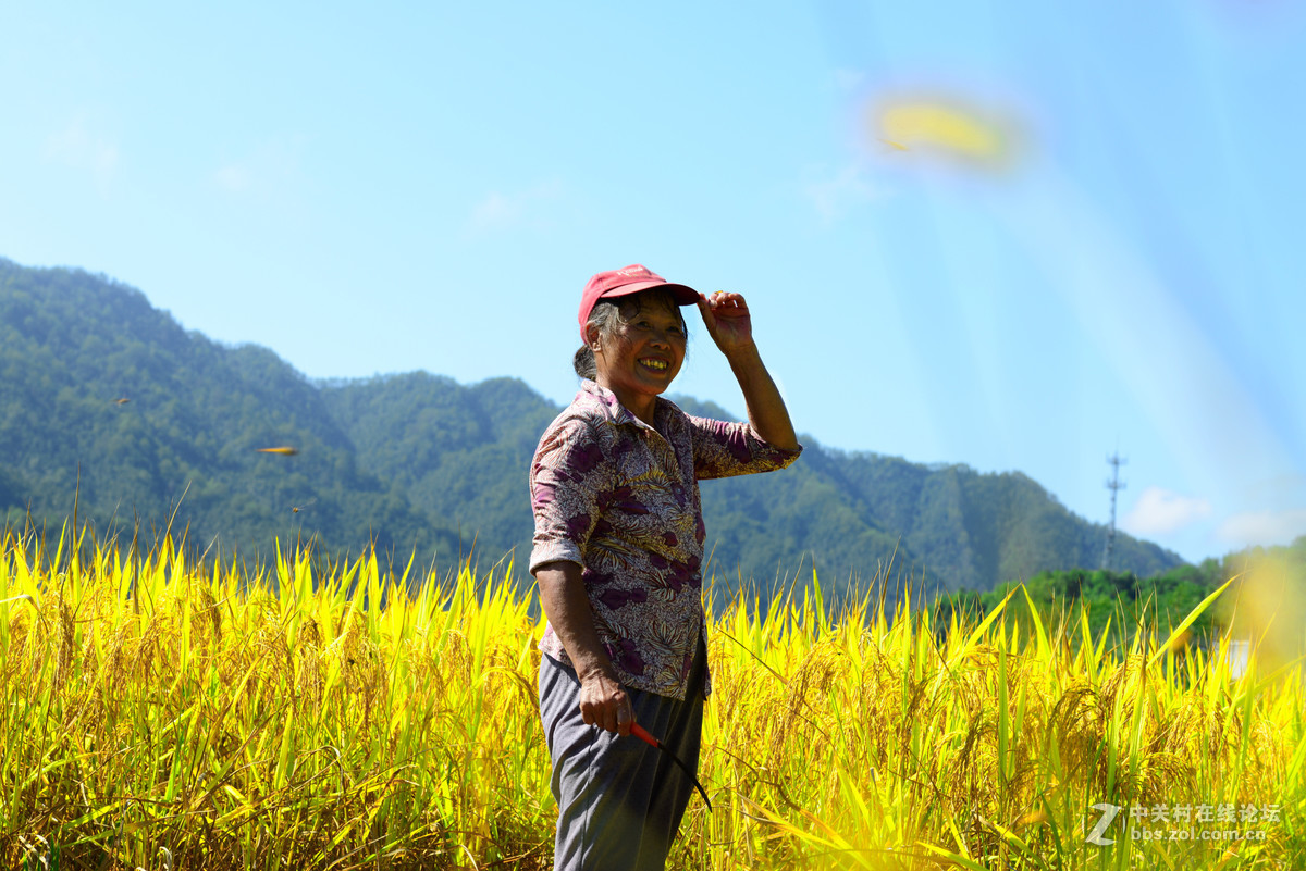 初秋的婺源，新手上片请各位老师多多指导