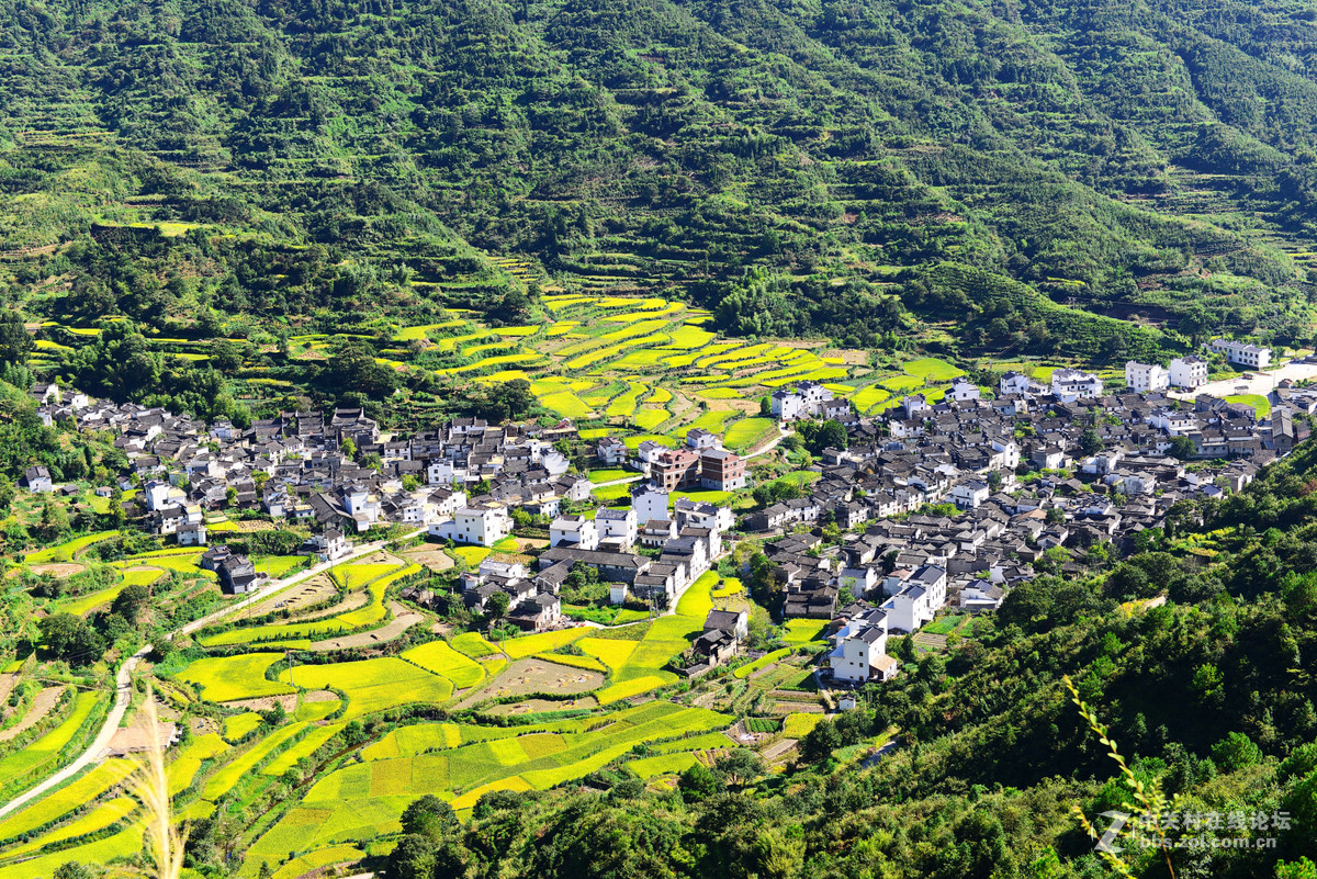 初秋的婺源，新手上片请各位老师多多指导