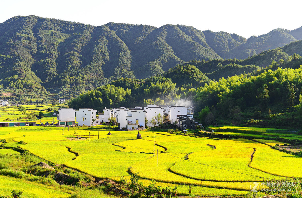 初秋的婺源，新手上片请各位老师多多指导