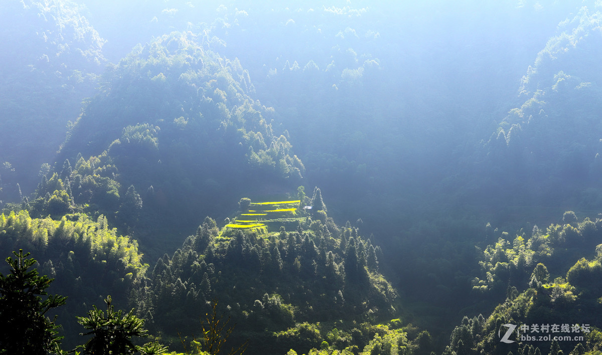 初秋的婺源，新手上片请各位老师多多指导