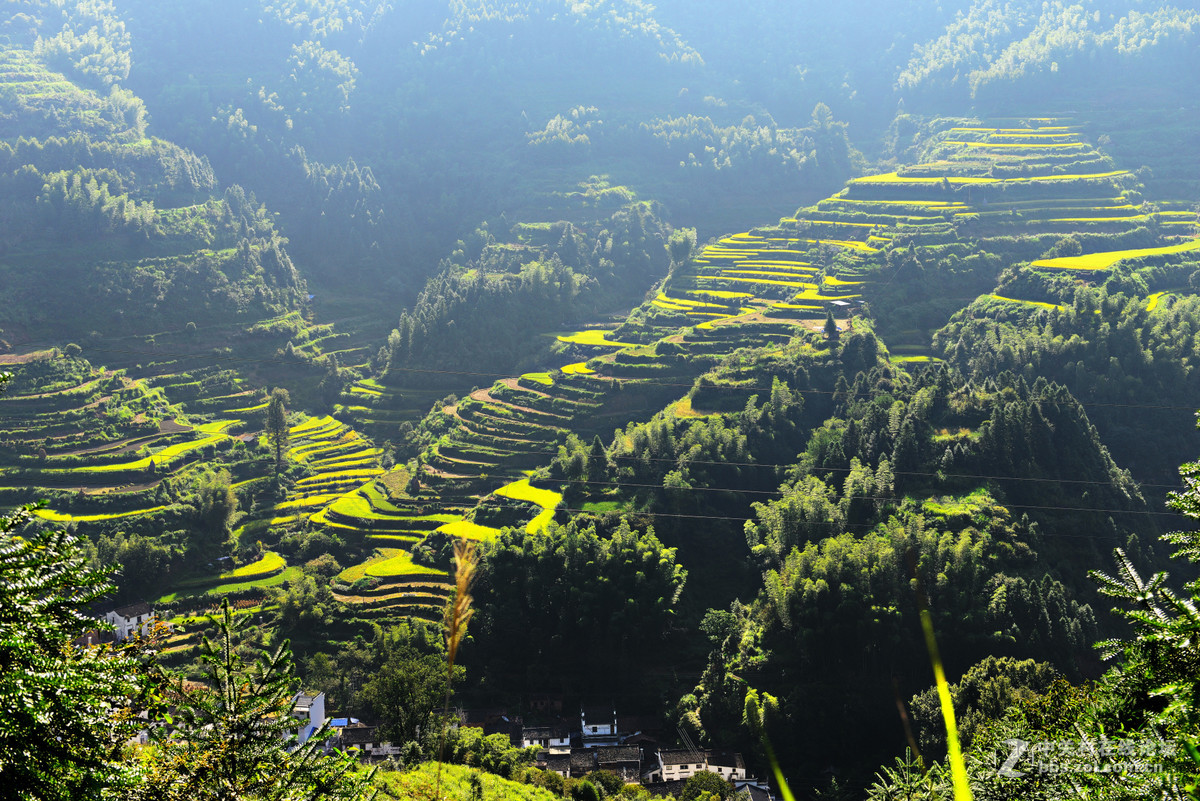初秋的婺源，新手上片请各位老师多多指导