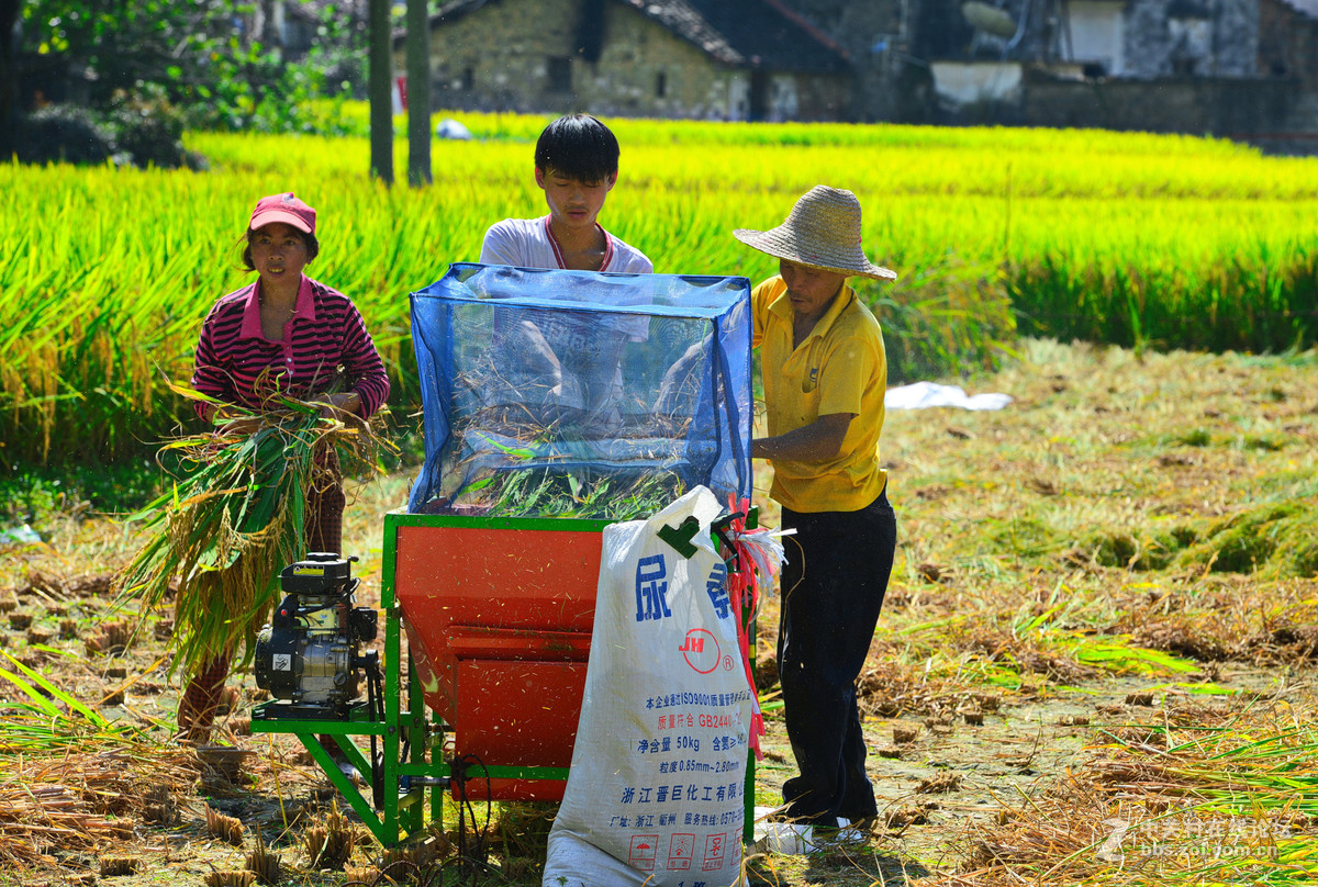 初秋的婺源，新手上片请各位老师多多指导