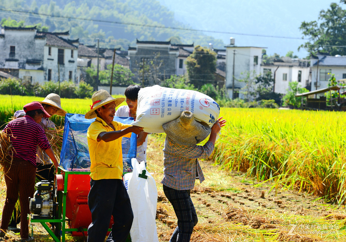 初秋的婺源，新手上片请各位老师多多指导
