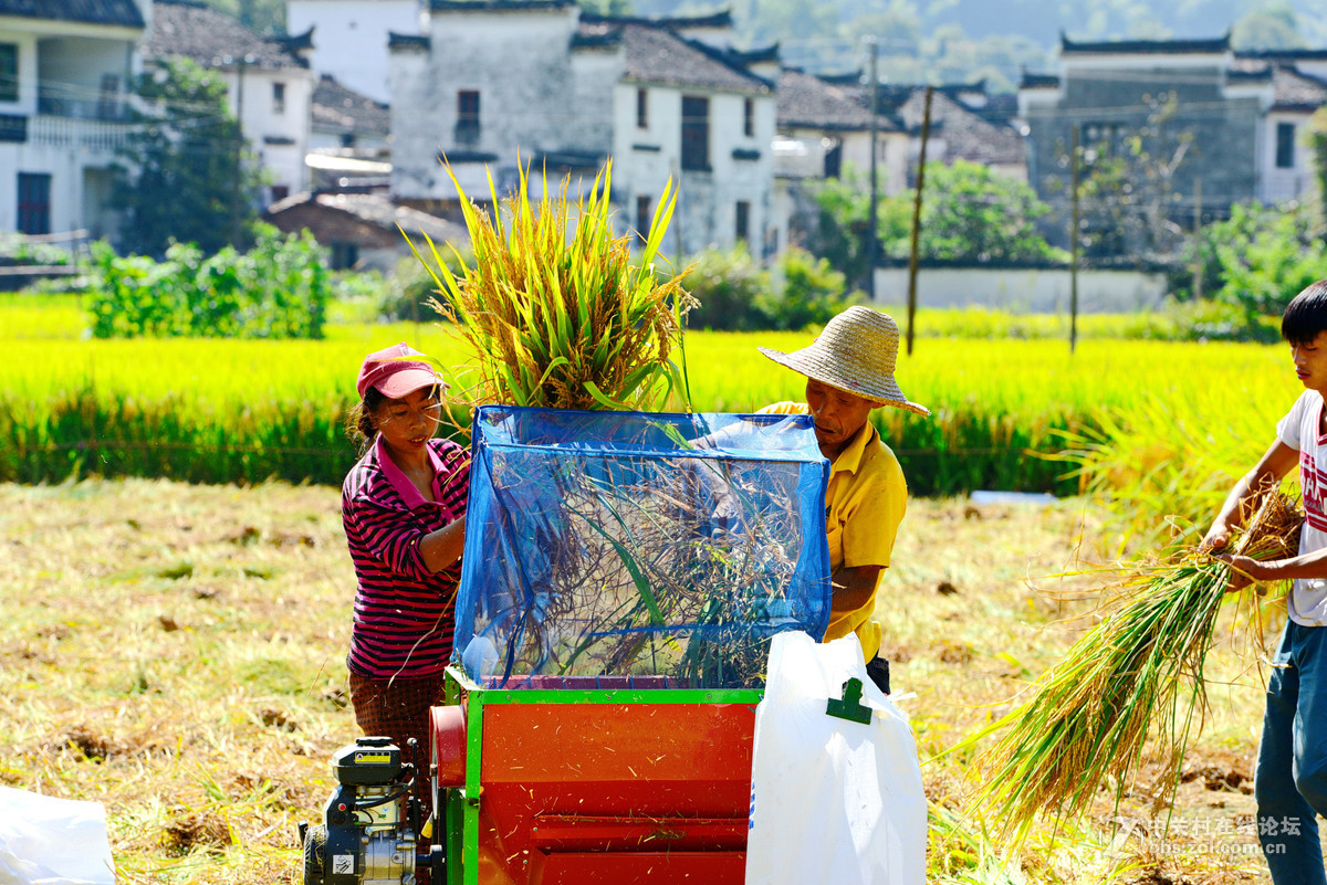 初秋的婺源，新手上片请各位老师多多指导