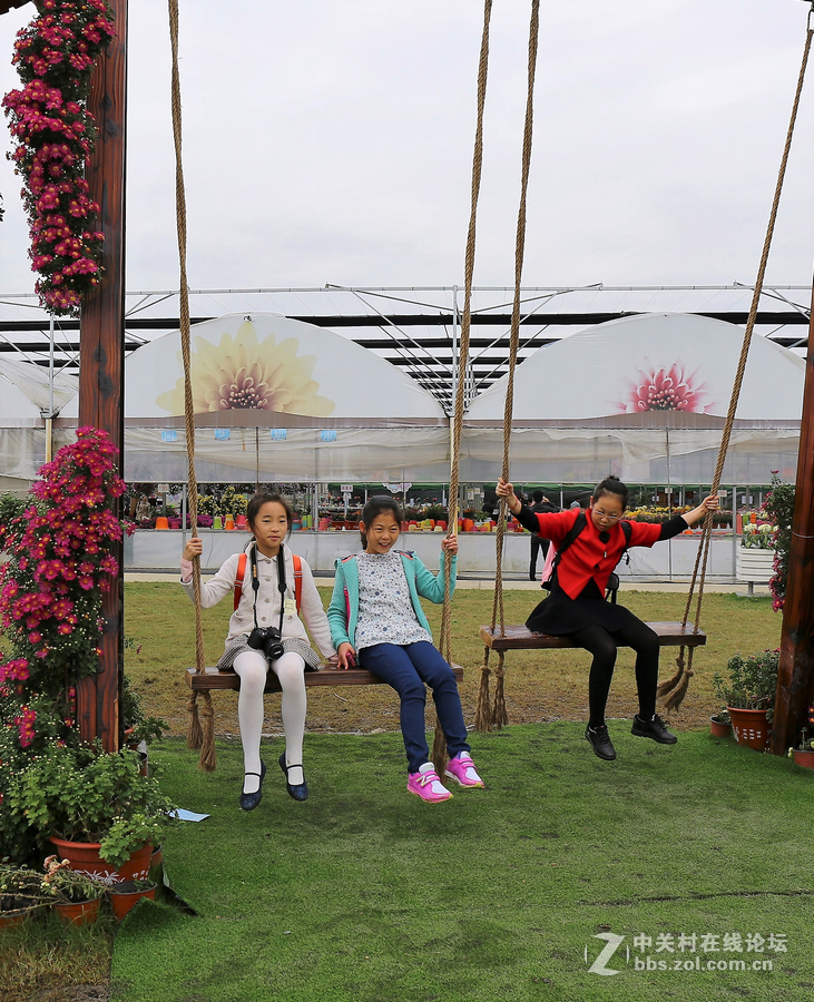 中山学校摄影班同学松冮活动