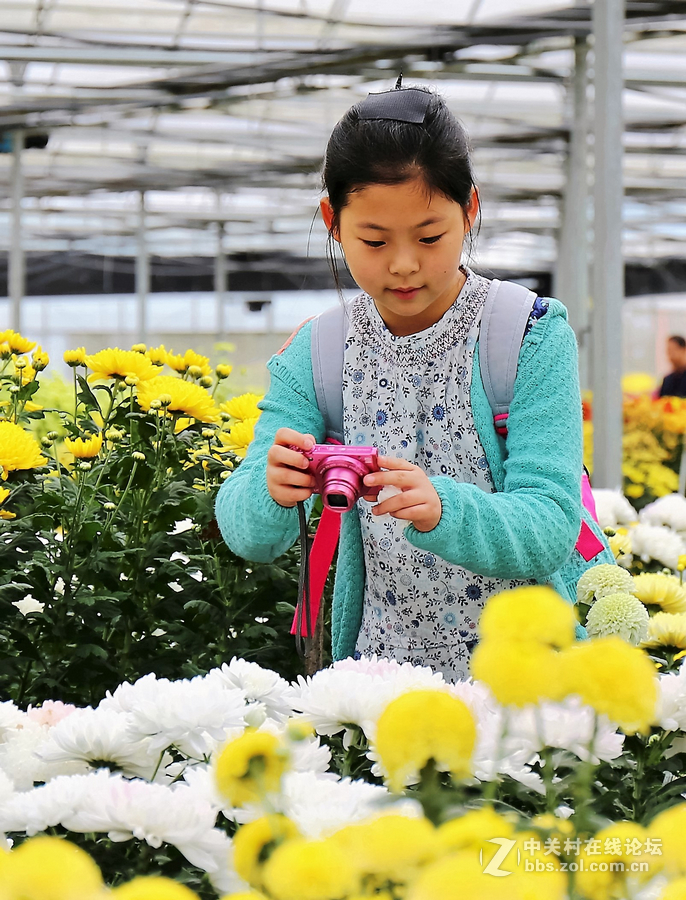 中山学校摄影班同学松冮活动