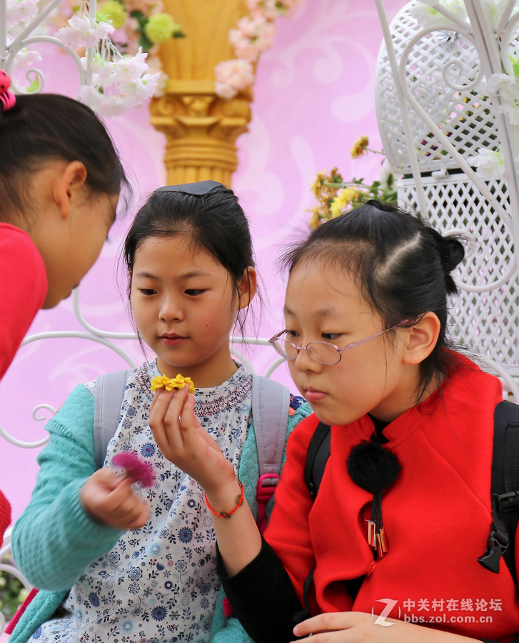 中山学校摄影班同学松冮活动