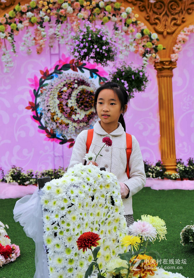 中山学校摄影班同学松冮活动