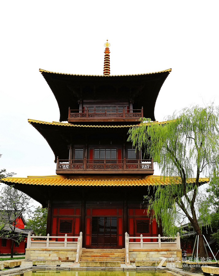 中山学校摄影班同学松冮活动