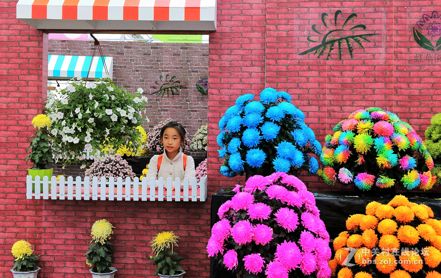 中山学校摄影班同学松冮活动