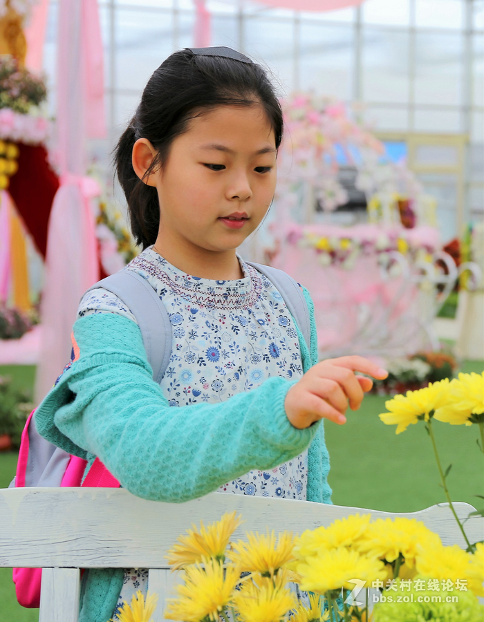 中山学校摄影班同学松冮活动
