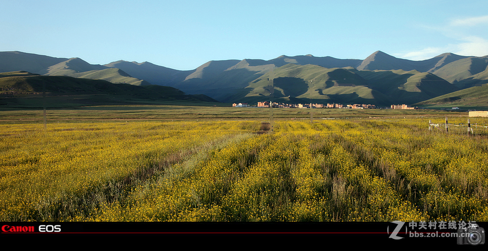 若尔盖草原之夏