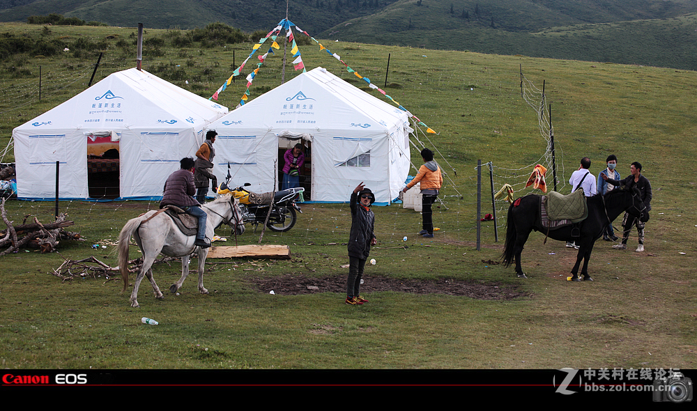 若尔盖草原之夏