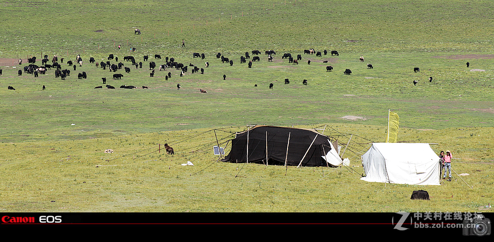 若尔盖草原之夏